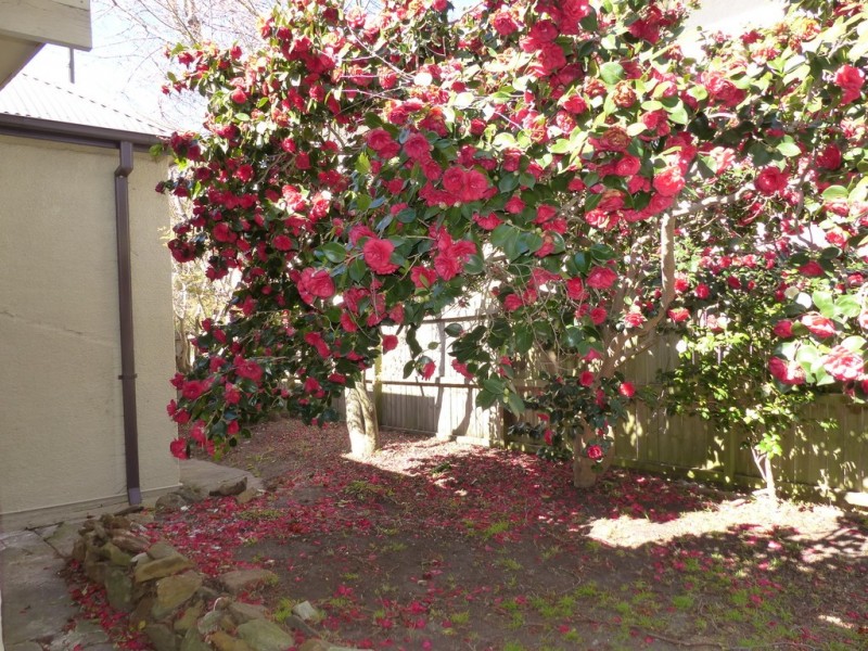 208 Bathurst Road, Katoomba NSW 2780