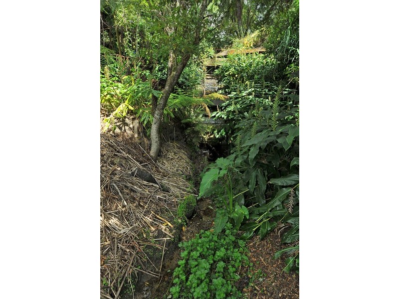 20 Falcon Street, Hazelbrook NSW 2779