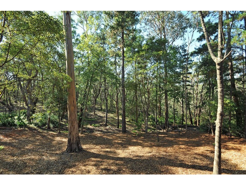 49 Pimelea Drive, Woodford NSW 2778