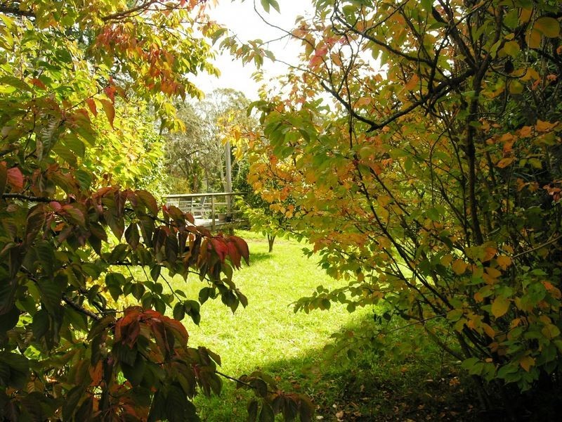 26 Minni Ha Ha Road, Katoomba NSW 2780