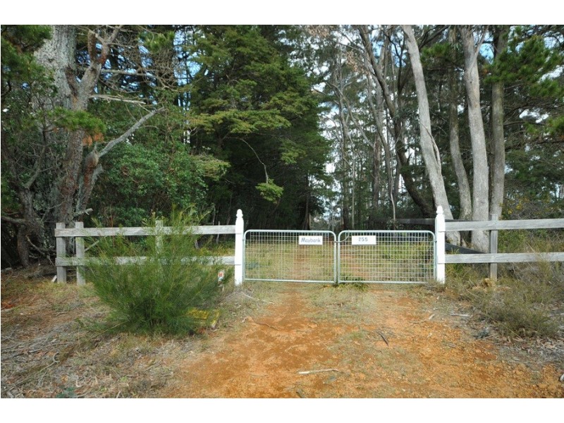 251 Hat Hill Road, Blackheath NSW 2785