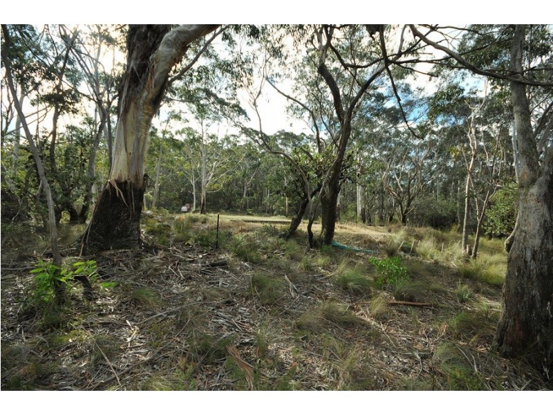 251 Hat Hill Road, Blackheath NSW 2785