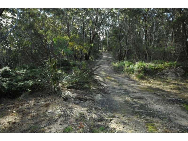 251 Hat Hill Road, Blackheath NSW 2785