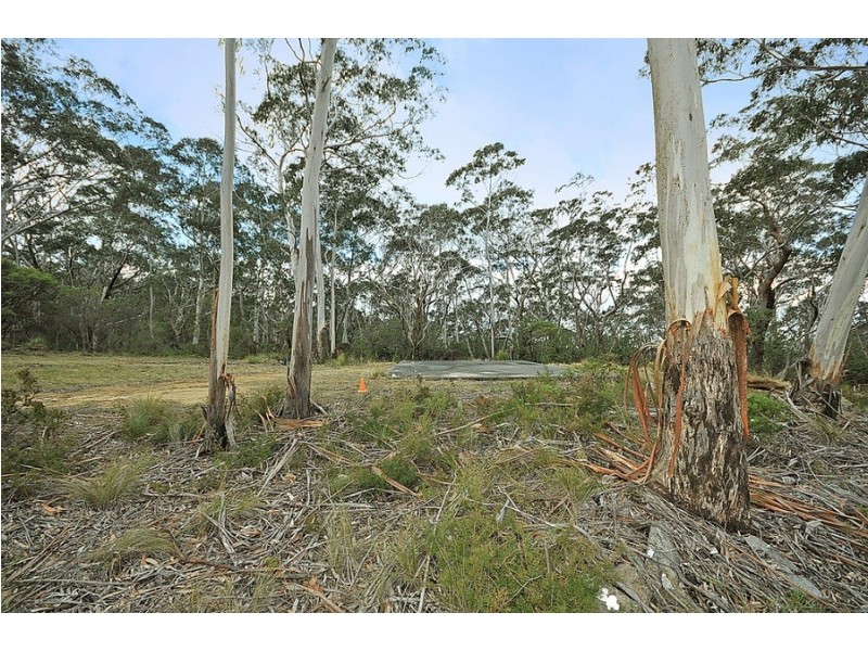 251 Hat Hill Road, Blackheath NSW 2785