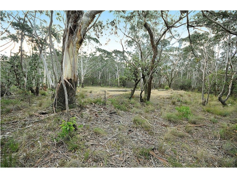 251 Hat Hill Road, Blackheath NSW 2785