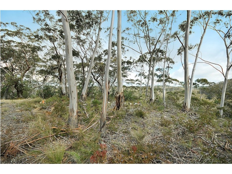 251 Hat Hill Road, Blackheath NSW 2785