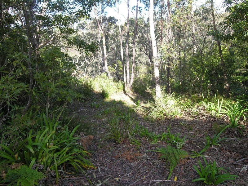 53-55 Henderson Road, Wentworth Falls NSW 2782