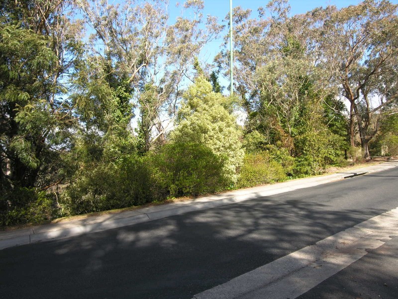 53-55 Henderson Road, Wentworth Falls NSW 2782