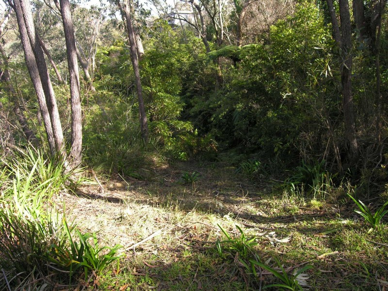 53-55 Henderson Road, Wentworth Falls NSW 2782