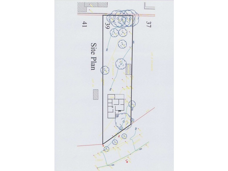 39 Cascade St, Wentworth Falls NSW 2782