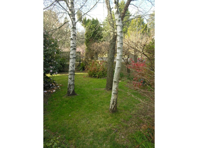 19 Kundibar Street, Katoomba NSW 2780