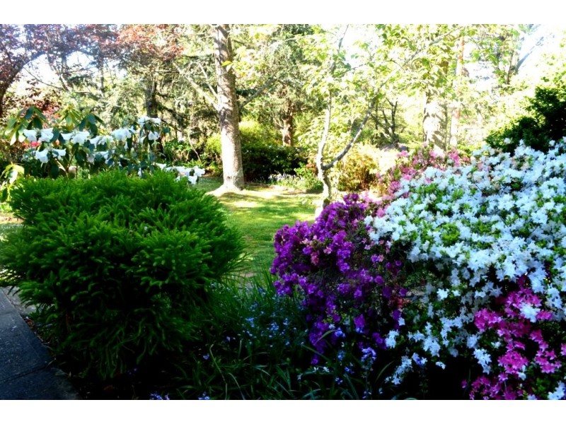 29 St Andrews Road, Leura NSW 2780