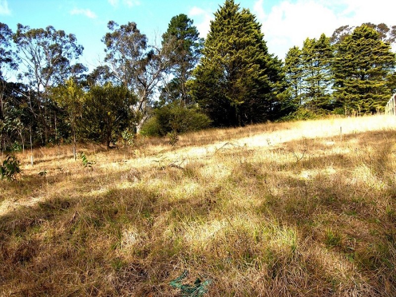 91 Rupert Street, Katoomba NSW 2780