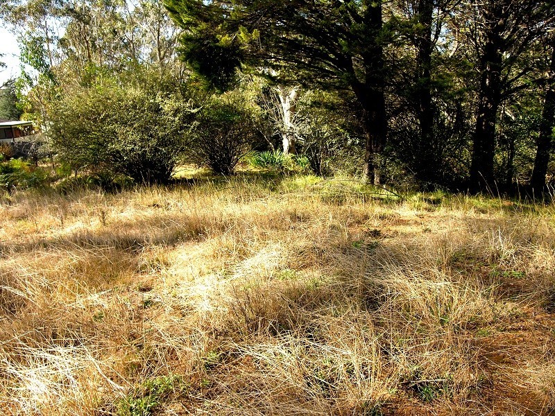 91 Rupert Street, Katoomba NSW 2780