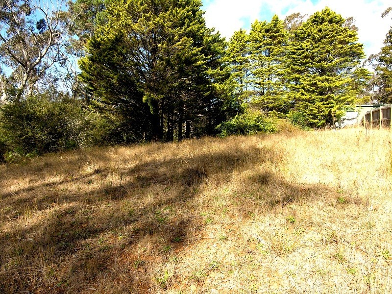 91 Rupert Street, Katoomba NSW 2780