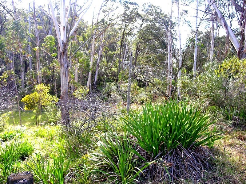 91 Rupert Street, Katoomba NSW 2780