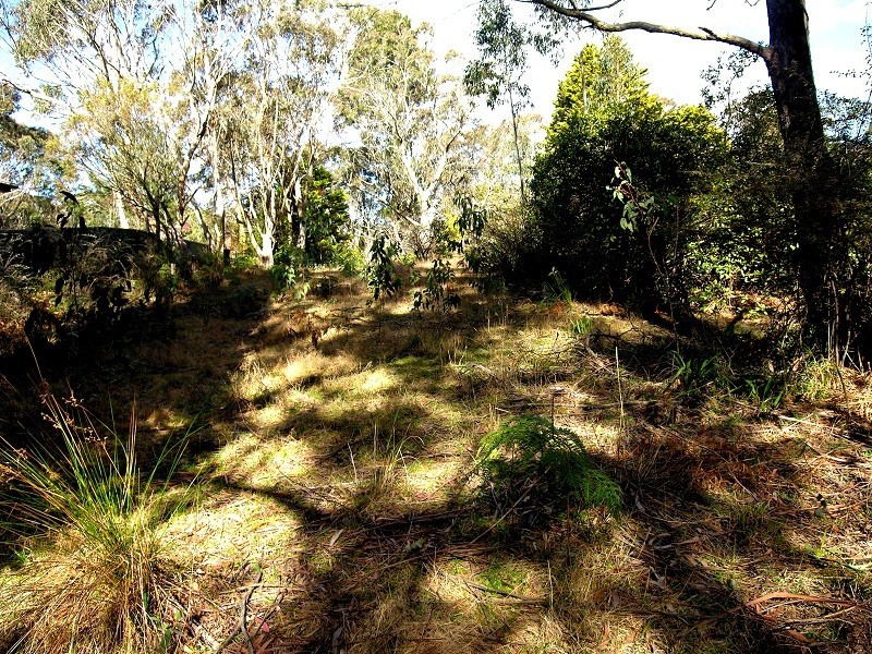 91 Rupert Street, Katoomba NSW 2780