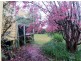 6 Murphy’s Lane, Wentworth Falls NSW 2782
