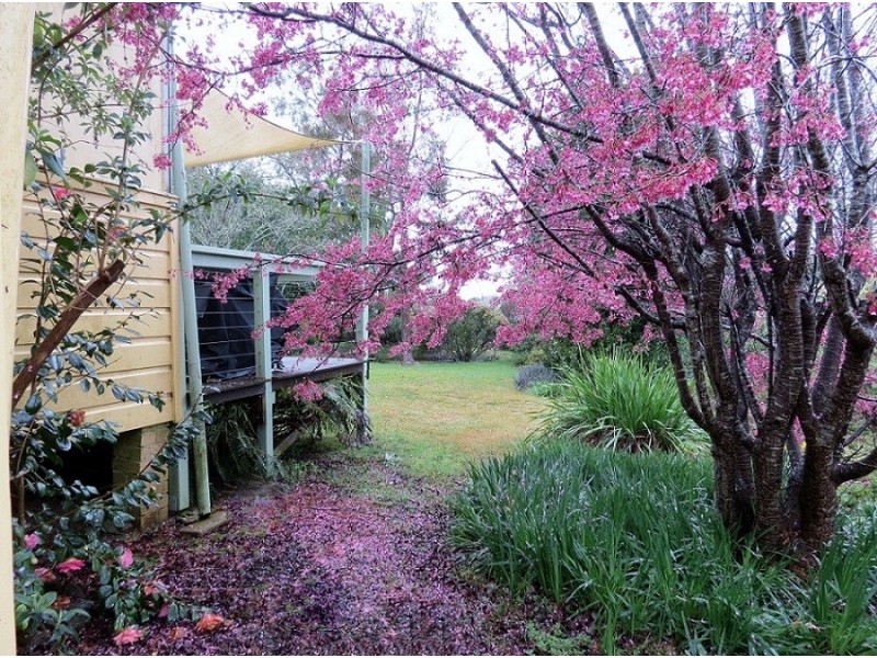6 Murphy’s Lane, Wentworth Falls NSW 2782
