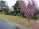 6 Murphy’s Lane, Wentworth Falls NSW 2782