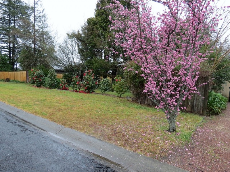 6 Murphy’s Lane, Wentworth Falls NSW 2782