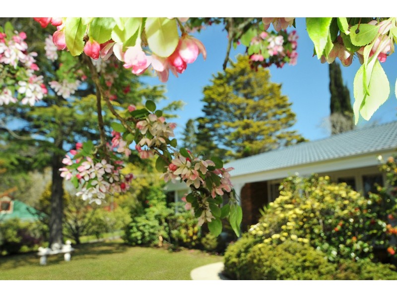 135 Cascade Street, Katoomba NSW 2780