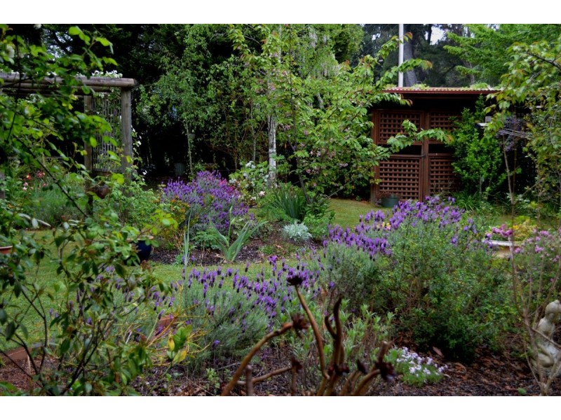 30 Backhouse St, Wentworth Falls NSW 2782