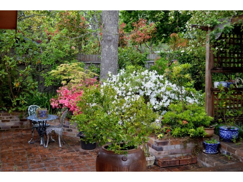 30 Backhouse St, Wentworth Falls NSW 2782