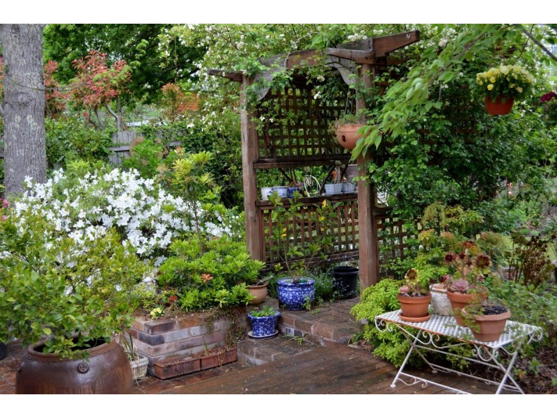 30 Backhouse St, Wentworth Falls NSW 2782