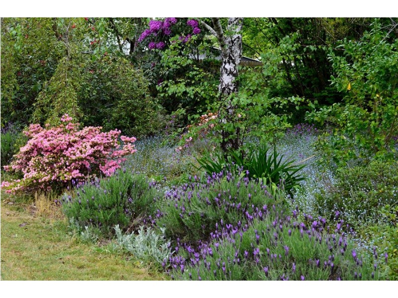 6 Murphys Lane, Wentworth Falls NSW 2782