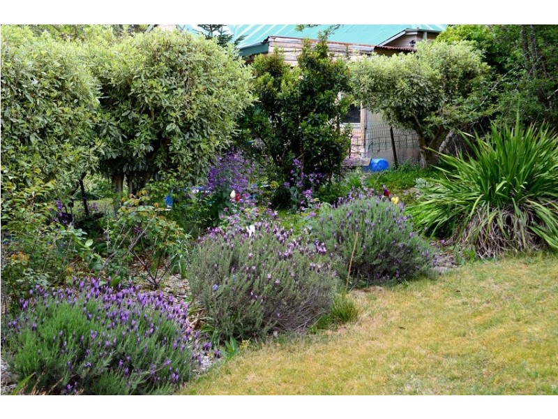 6 Murphys Lane, Wentworth Falls NSW 2782