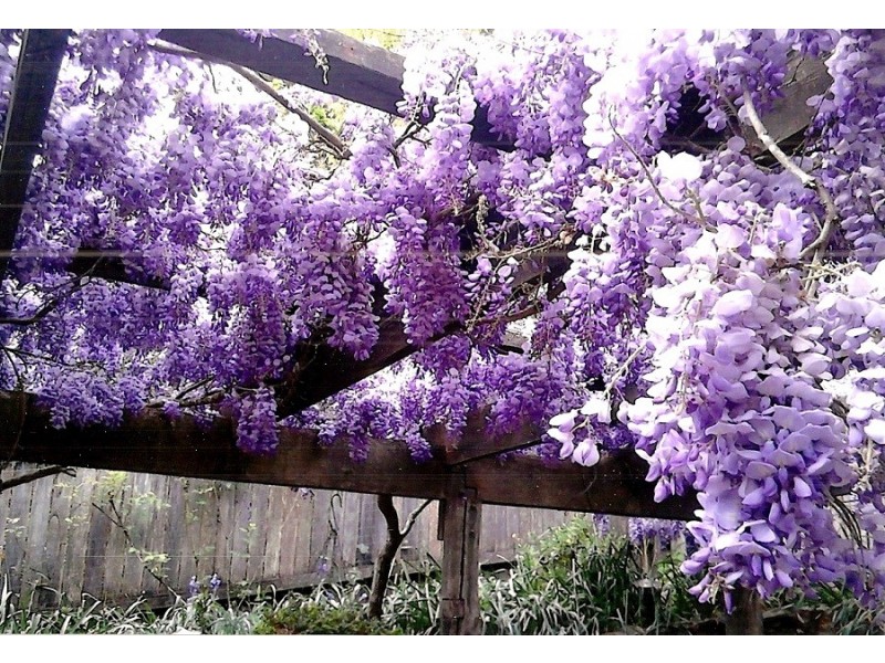 41 Camp Street, Katoomba NSW 2780