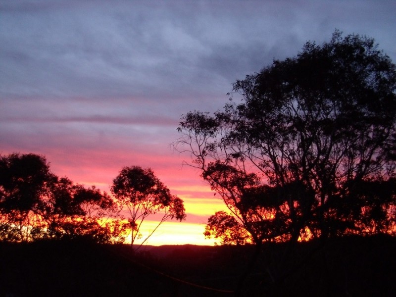 28 Shortland Street, Wentworth Falls NSW 2782