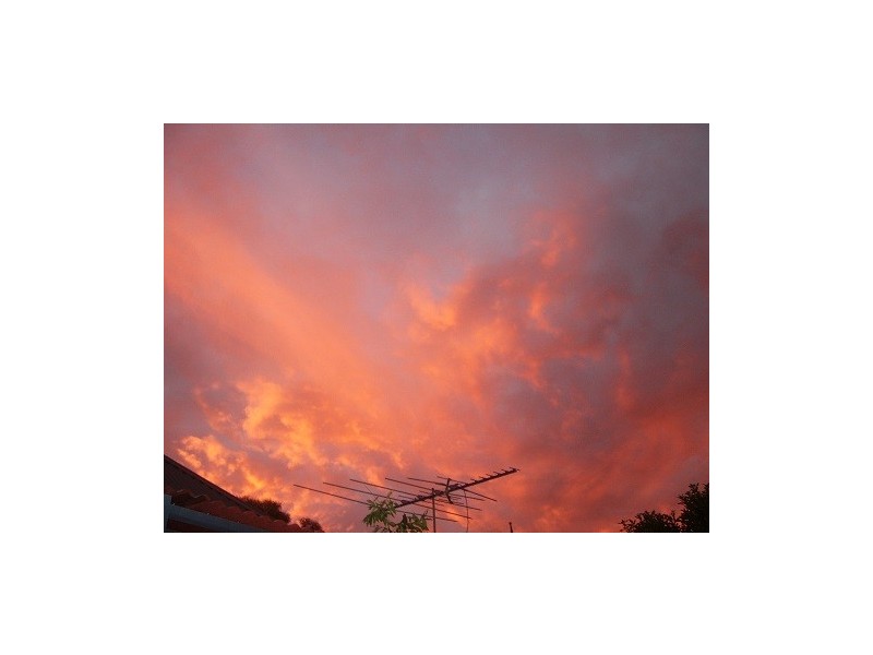 28 Shortland Street, Wentworth Falls NSW 2782