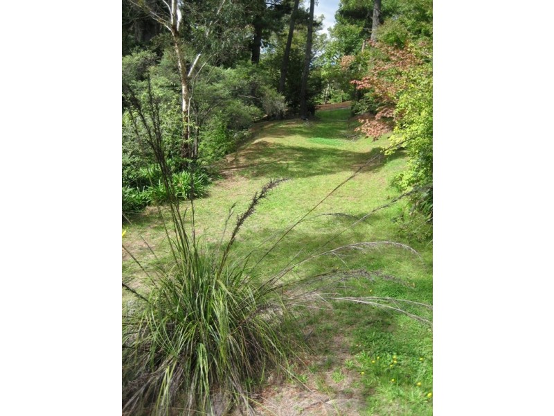 12 Burwood Road, Mount Victoria NSW 2786