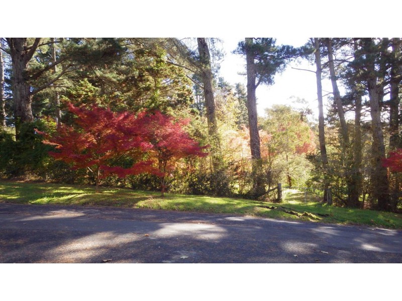 12 Burwood Road, Mount Victoria NSW 2786