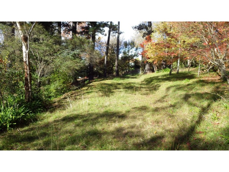 12 Burwood Road, Mount Victoria NSW 2786