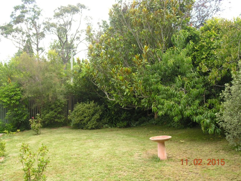 11 Beattie Street, Leura NSW 2780