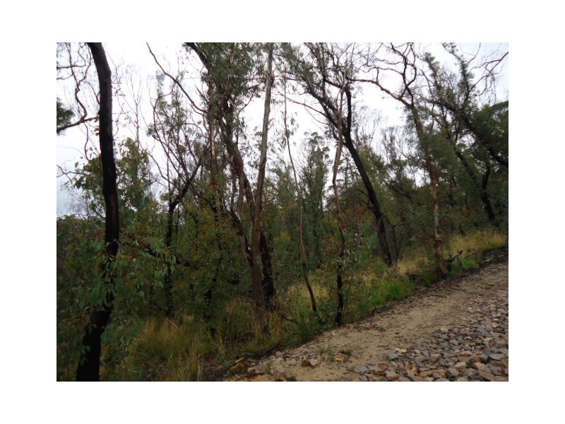 27-29 Salisbury Avenue, Mount Victoria NSW 2786