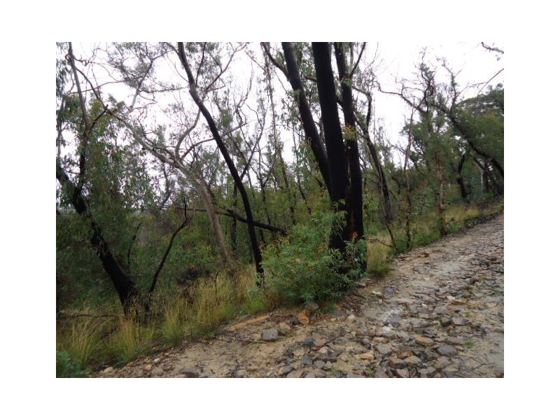 27-29 Salisbury Avenue, Mount Victoria NSW 2786