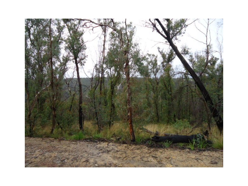 27-29 Salisbury Avenue, Mount Victoria NSW 2786