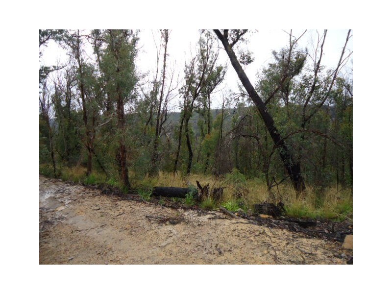 27-29 Salisbury Avenue, Mount Victoria NSW 2786