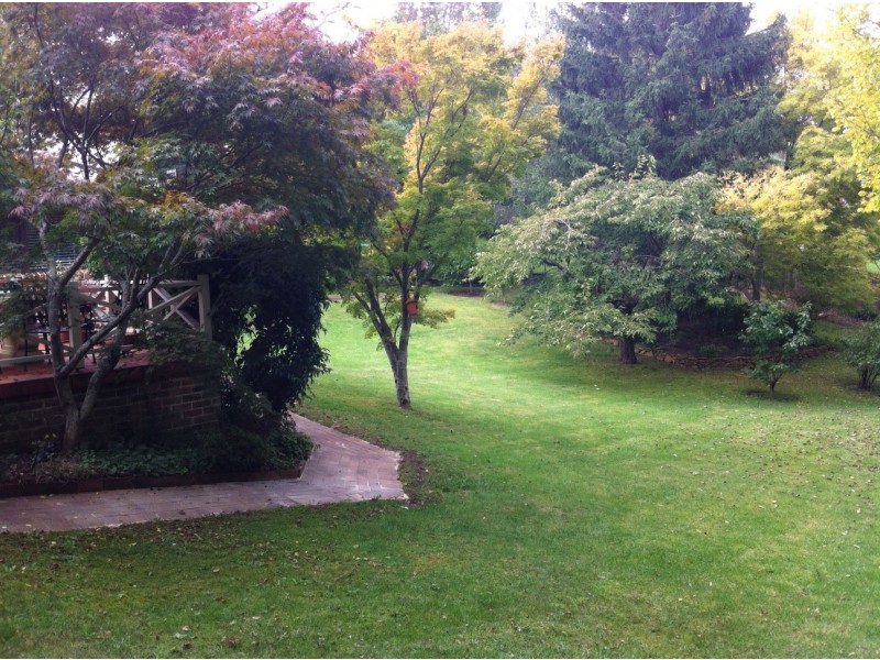 135 Wentworth Street, Blackheath NSW 2785