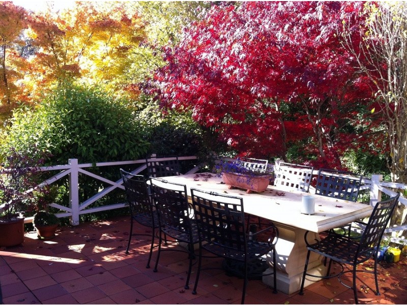 135 Wentworth Street, Blackheath NSW 2785