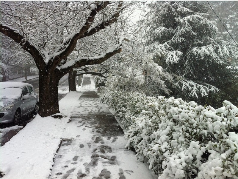 135 Wentworth Street, Blackheath NSW 2785