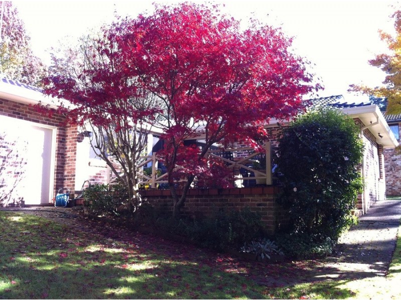 135 Wentworth Street, Blackheath NSW 2785