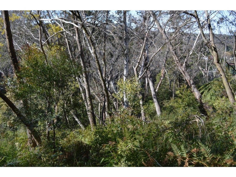 10 Railway Parade, Katoomba NSW 2780