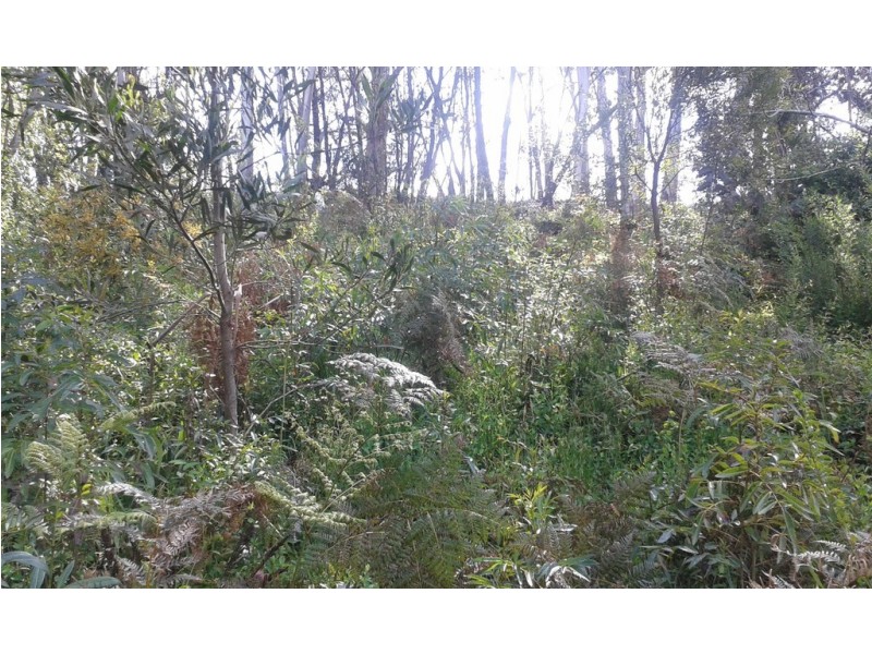 10 Railway Parade, Katoomba NSW 2780