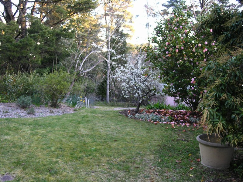 12 Abbey Street, Leura NSW 2780