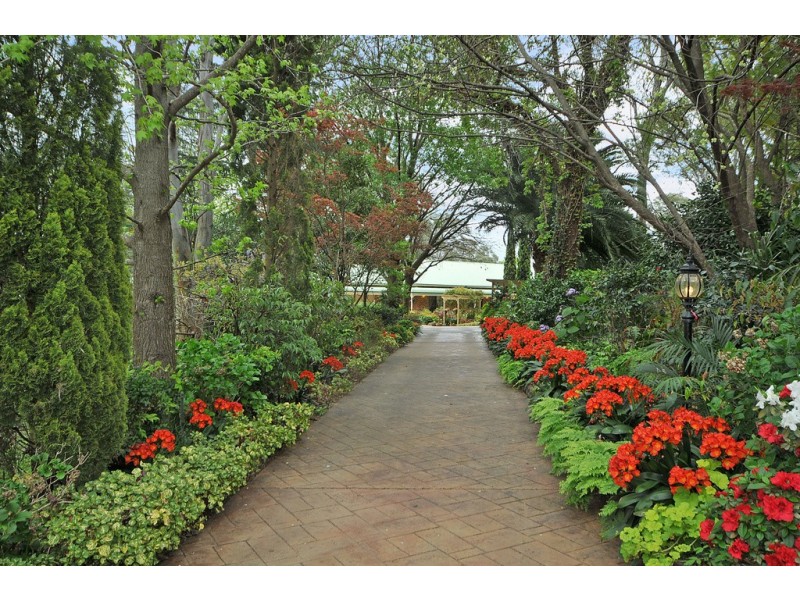 49 Comleroy Road, Kurrajong NSW 2758